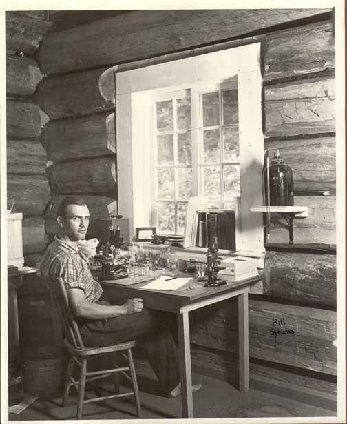 Bill Sprules working in the log lab