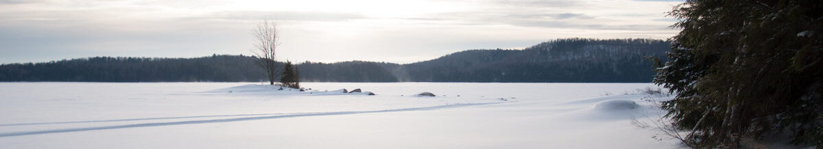 Harkness Laboratory of Fisheries Research