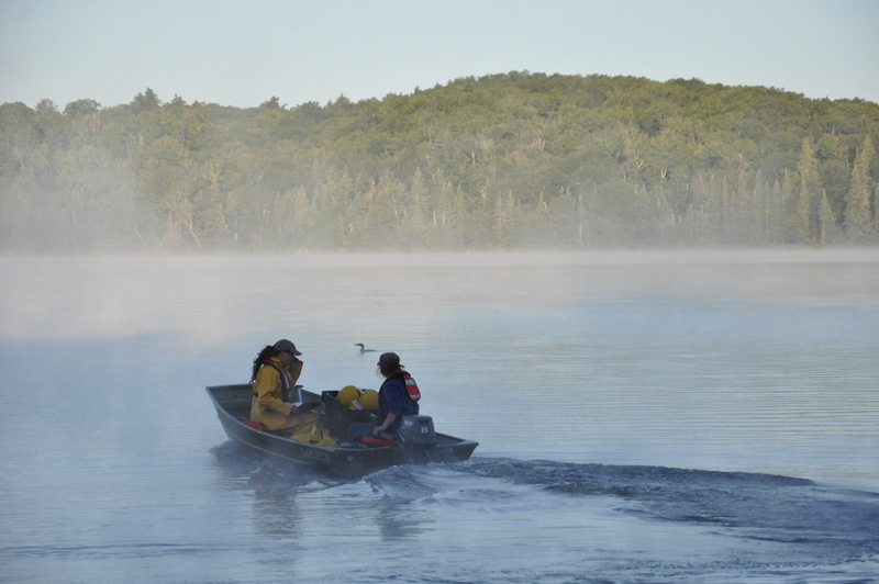 Netting crew leaving for work in a motorboat