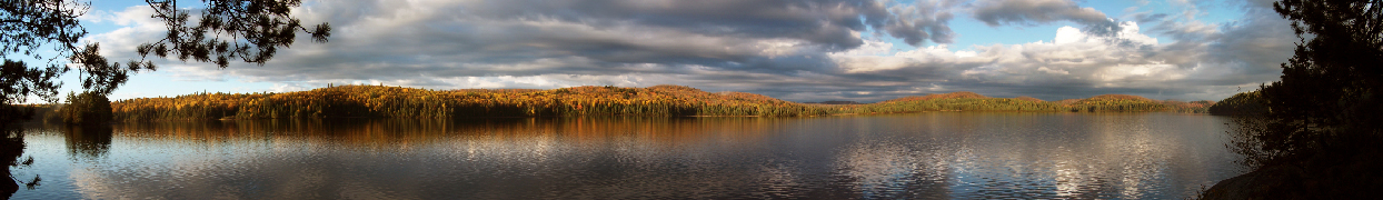Panoramic photo of fall colours taken across the water from the Harkness Lab dock