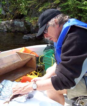 Brian Shuter sampling a fish in the field