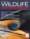 Close up of Double Crested Cormorant head from the cover of journal issue