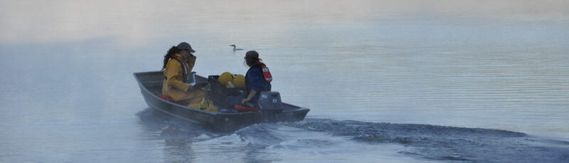 Harkness Laboratory of Fisheries Research